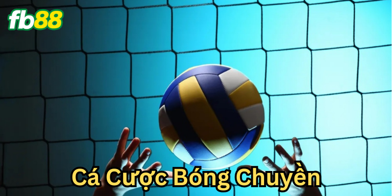 Các loại kèo cược trong bóng chuyền