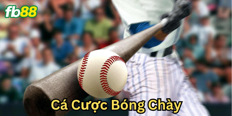Hiểu về Cá Cược Bóng Chày