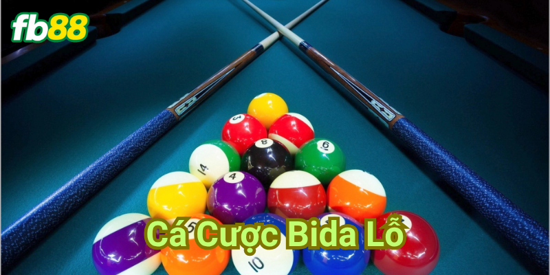 Giải thích Cá Cược Bida Lỗ
