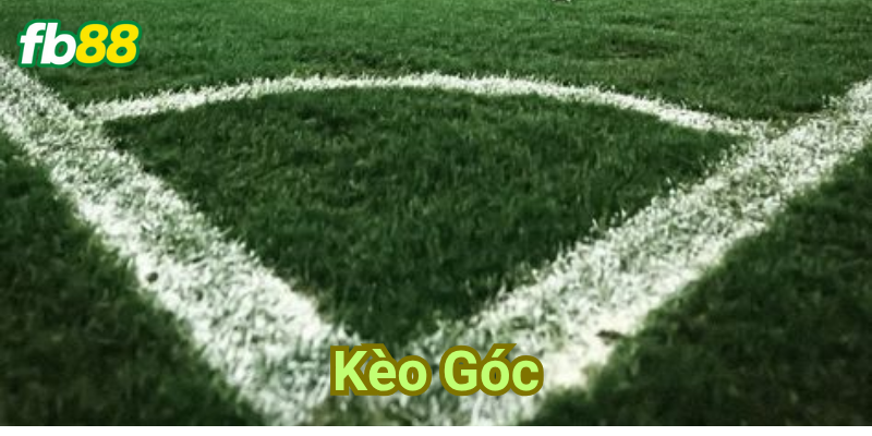 Bí quyết chiến thắng kèo