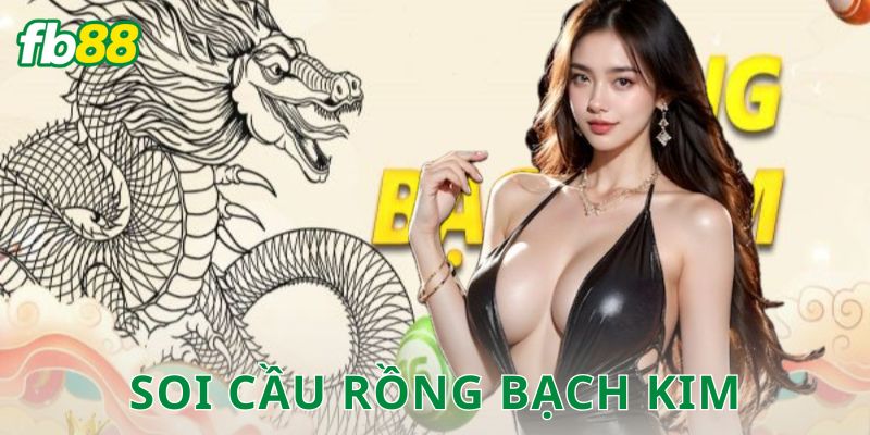 Soi cầu rồng bạch kim FB88