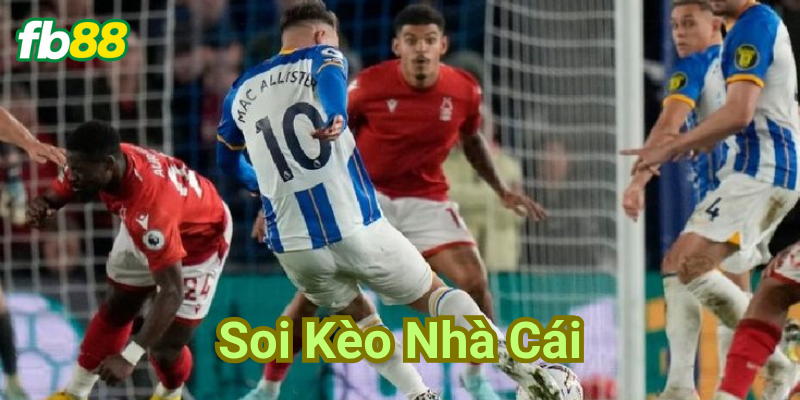 Thắng bại tại sai lầm! Tránh ngay!