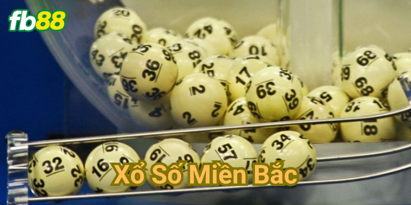 Thế nào là chơi có trách nhiệm?
