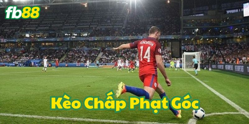 Tỷ lệ cược của Kèo Chấp Phạt Góc