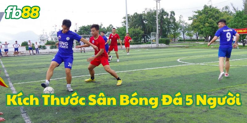 Kích Thước Sân Bóng Đá 5 Người chuẩn FIFA