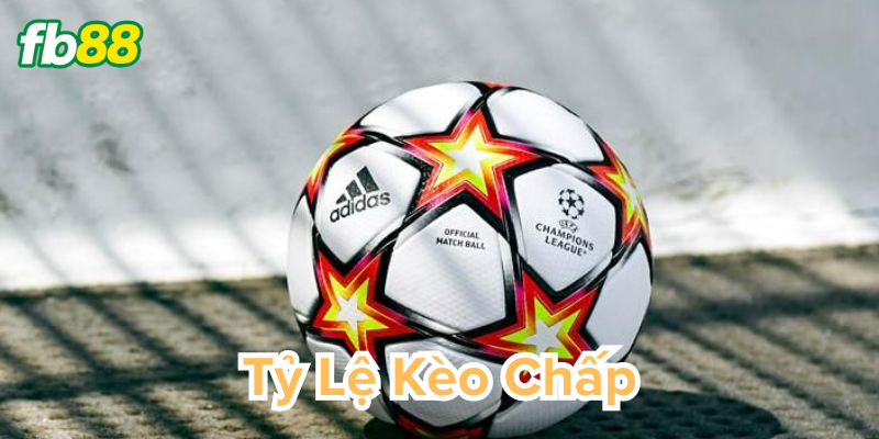 Cách đọc và tính tiền Tỷ Lệ Kèo Chấp chuẩn xác