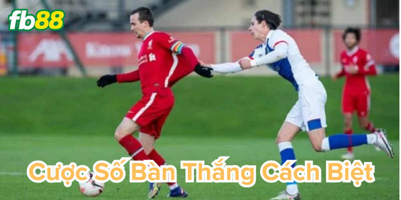 Nghệ thuật về việc quản lý vốn