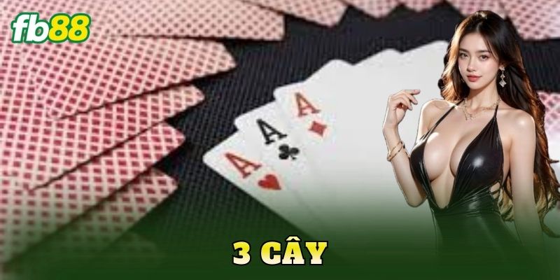 3 Cây