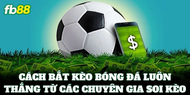 Cách Bắt Kèo Bóng Đá luôn thắng từ các chuyên gia soi kèo