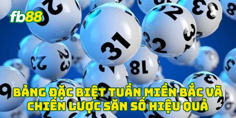 Bảng Đặc Biệt Tuần Miền Bắc và chiến lược săn số hiệu quả