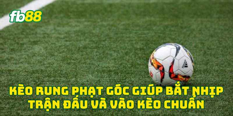 Kèo Rung Phạt Góc giúp bắt nhịp trận đấu và vào kèo chuẩn