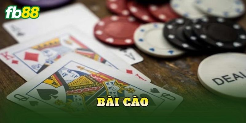 Bài Cào