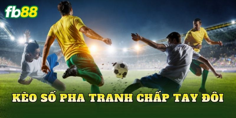 Kèo Số Pha Tranh Chấp Tay Đôi