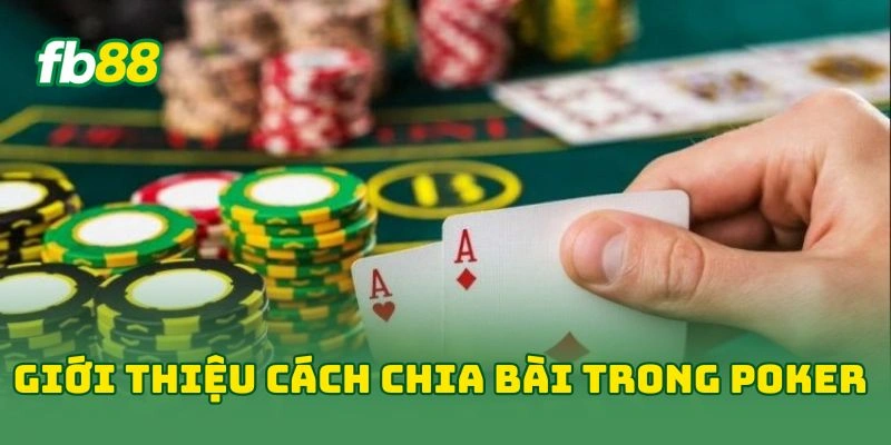 Giới thiệu cách chia bài trong poker