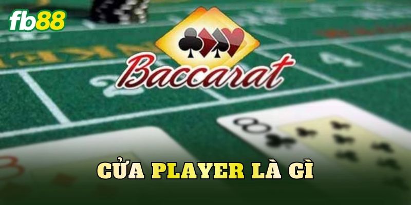 Cửa Player Là Gì