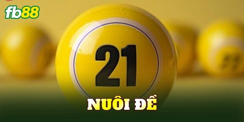 Nuôi Đề