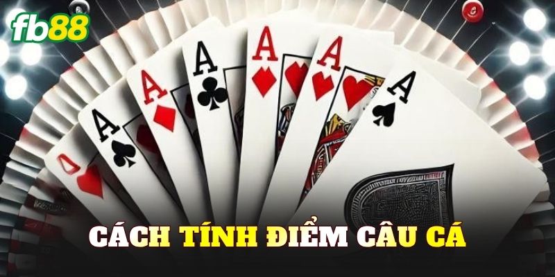 Cách Tính Điểm Câu Cá