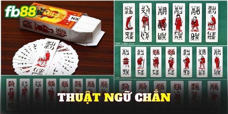 Thuật Ngữ Chắn